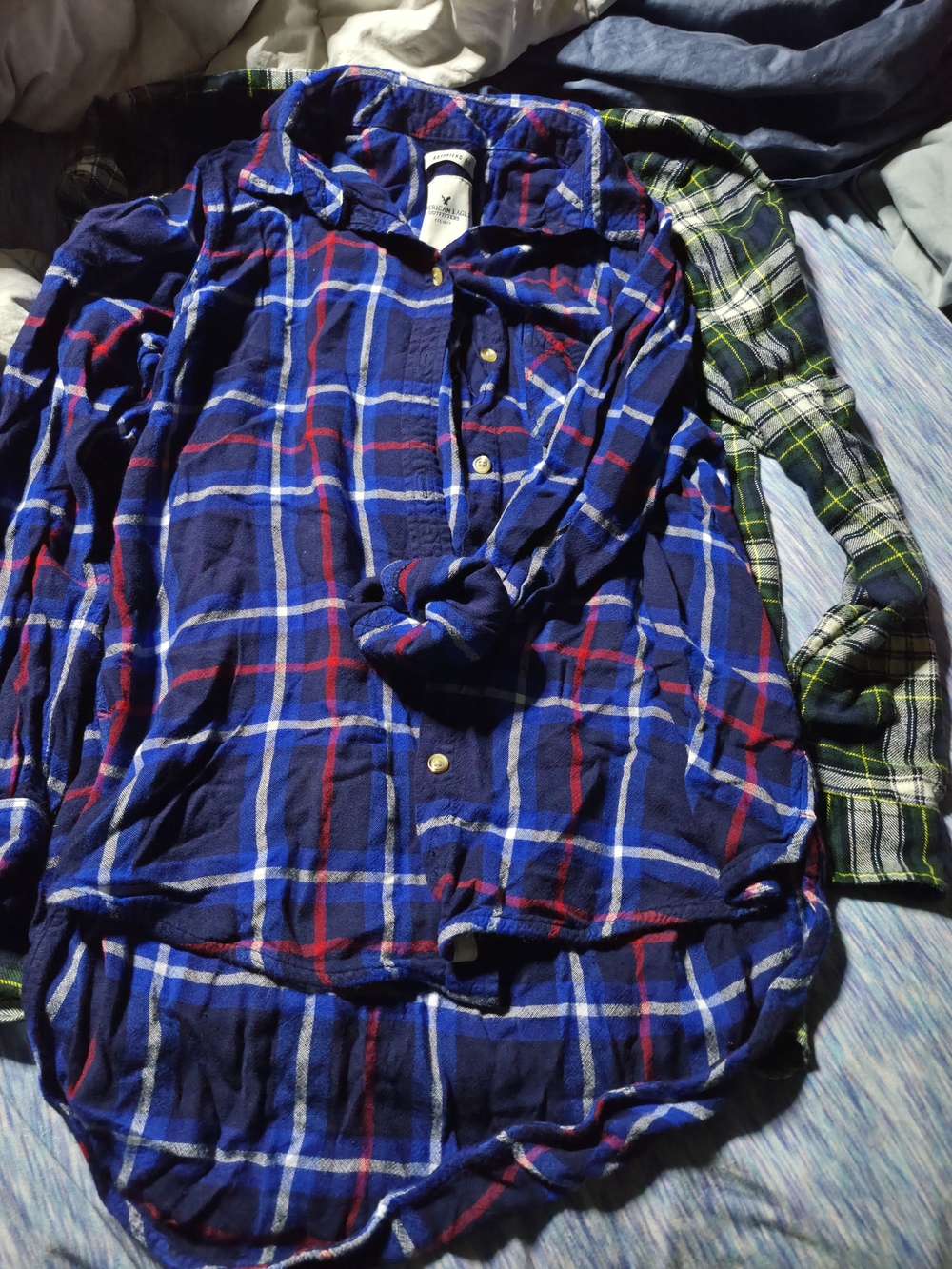 American Eagle Outfitters Blue and Red Plaid Button-Down Shirt